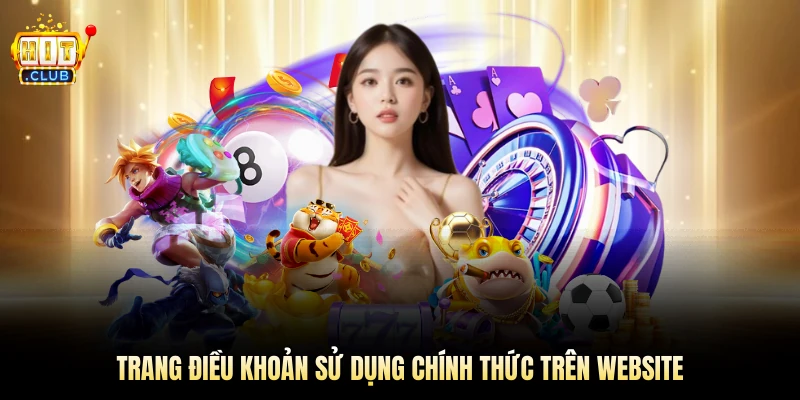 Trang điều khoản sử dụng chính thức trên website